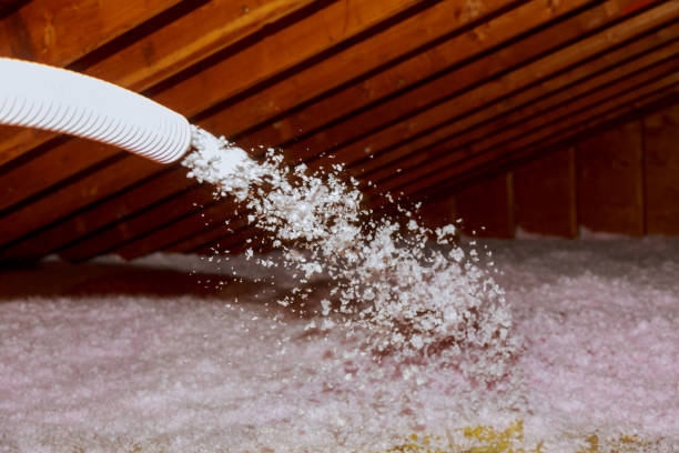 Best Specialty Insulation in Hotchkiss, CO